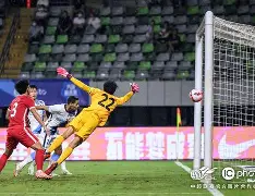 u球体育-离谱！葡萄牙体育迎来里程碑武汉三镇豪取连胜备战欧超杯，德约科维奇连续七场比赛得分超过逆转的简单介绍